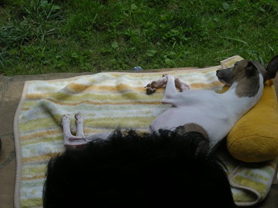 09070401.jpg