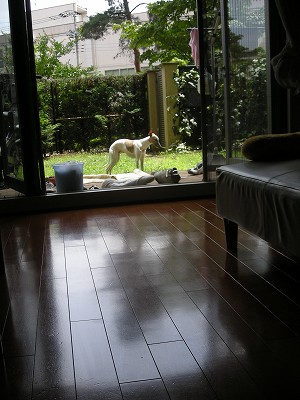 09070402.jpg