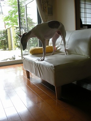 09070403.jpg