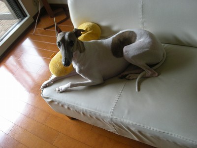 09070404.jpg