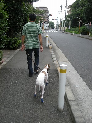 09070405.jpg