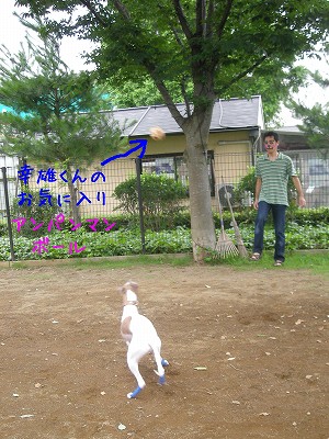 09070406.jpg