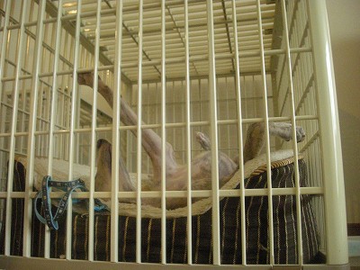 09080403.jpg