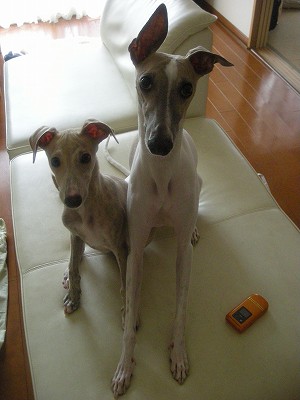 09080701.jpg