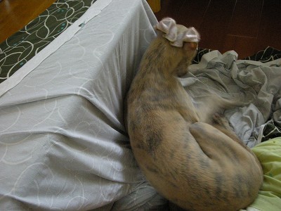 09081102.jpg