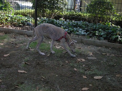 09090503.jpg