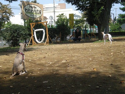 09090505.jpg