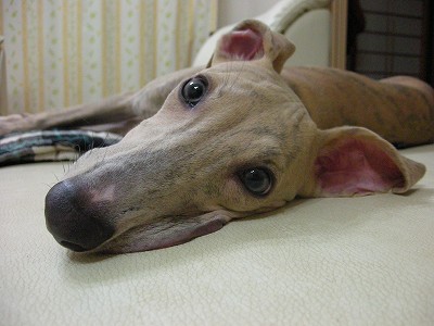 09090801.jpg