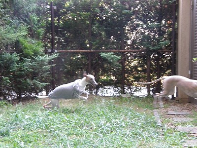 09092002.jpg