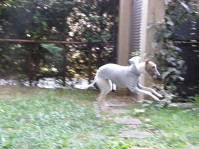 09092003.jpg