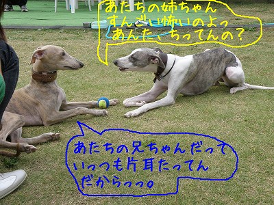 09092702.jpg