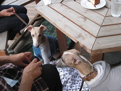 090927_02.jpg