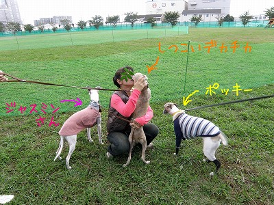 09101202.jpg