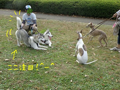 09102309.jpg