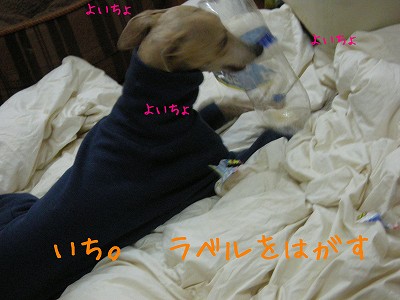 09113001.jpg
