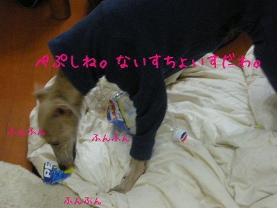 09113002.jpg