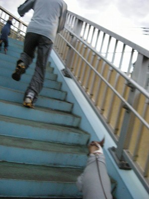 09121202.jpg