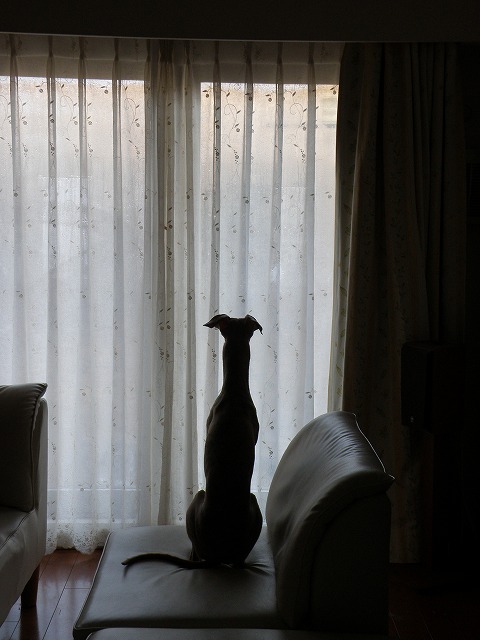 10020701.jpg