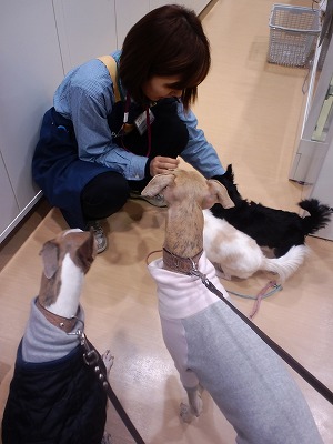 10031401.jpg