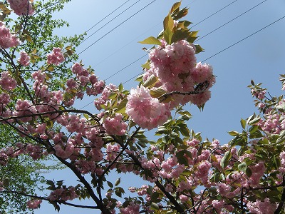 10042901.jpg