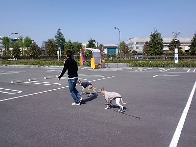 10050201.jpg