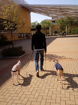 10050202.jpg