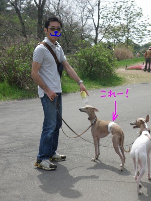 10050403.jpg