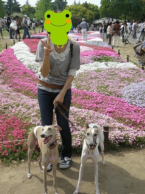 10050404.jpg