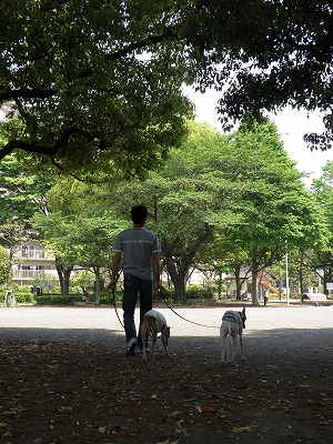 10050502.jpg