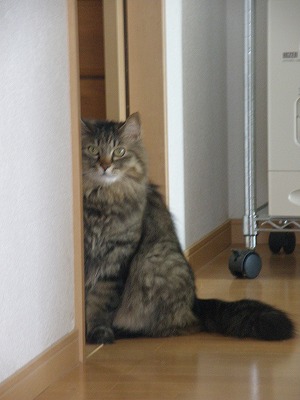 10053028.jpg