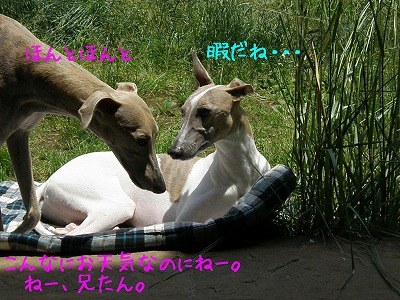10060602.jpg