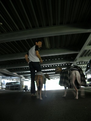 10060603.jpg