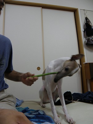 10061801.jpg