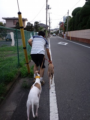 10081501.jpg