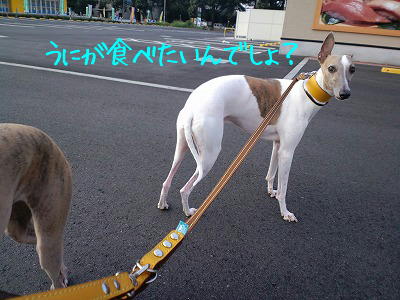 10082301.jpg