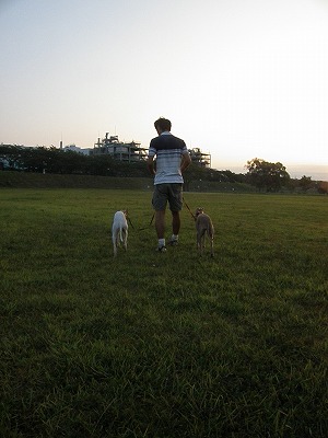 10090505.jpg