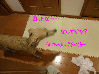 10091003.jpg