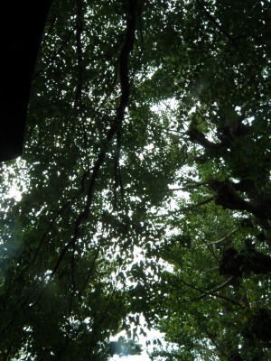 10091904.jpg