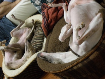 10092011.jpg
