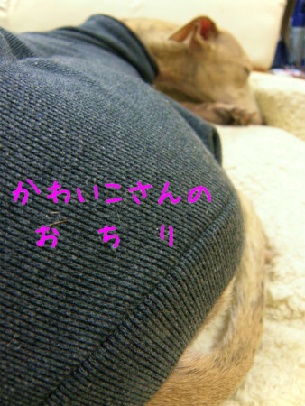 11011503.jpg