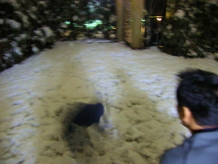11021409.jpg