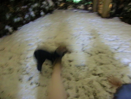 11021411.jpg