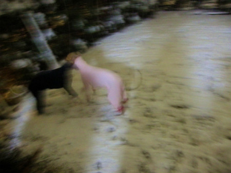 11021412.jpg