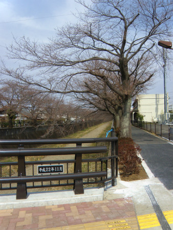 11032002.jpg