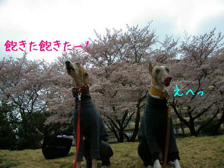 11040905.jpg