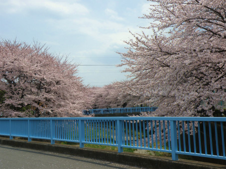 11041002.jpg