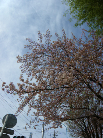 11041603.jpg