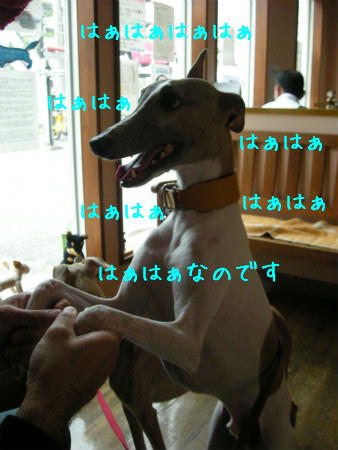 11050101.jpg