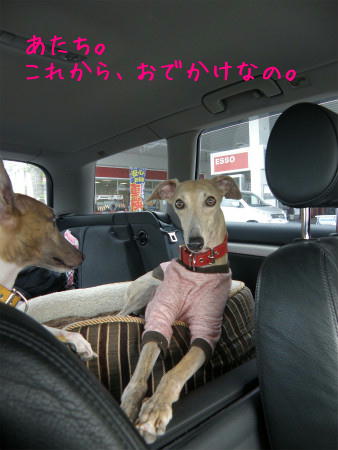 11050301.jpg
