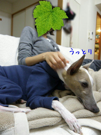 11050504.jpg